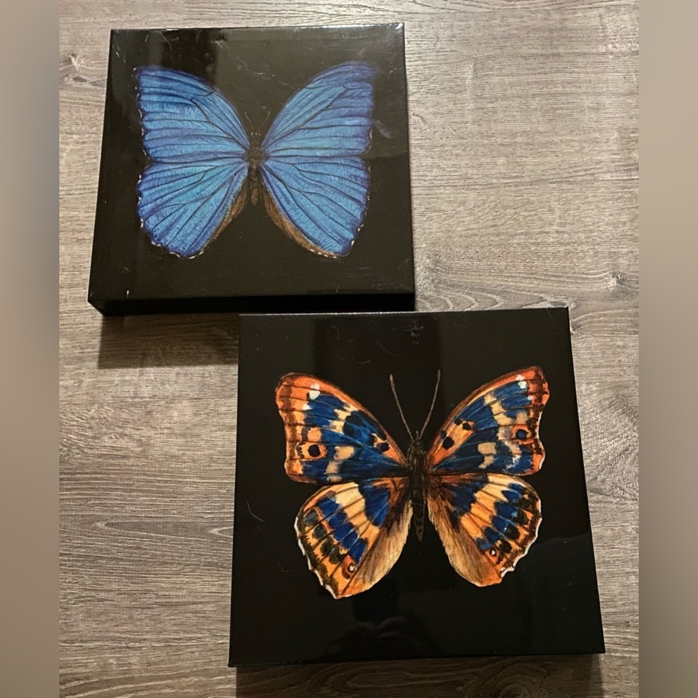 Butterfly Canvas Wall Art Set | Blue & Orange Nature Decor 12x12 - Picture 3 of 7
